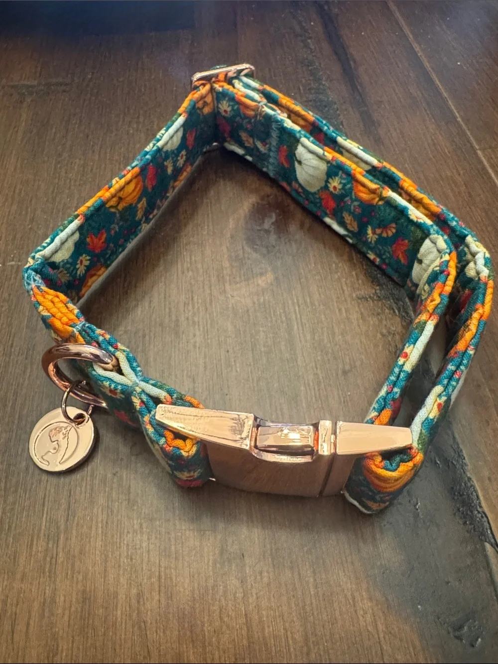 Brand New Dogwood Fall Dog Collar - teal with pumpkins and removable bow tie
